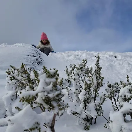 Chale Acolhedor - Penhas Da Saude - Serra Da Estrela * קוביליה