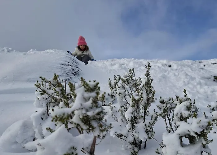 Chale Acolhedor - Penhas Da Saude - Serra Da Estrela * Covilhã